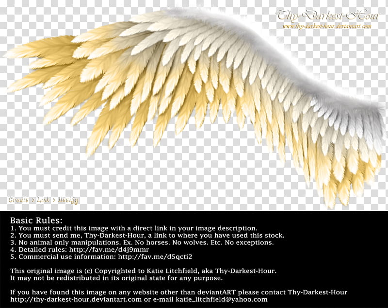 Winged Perfection Silver Gold, beige and white wings and basic rules text transparent background PNG clipart
