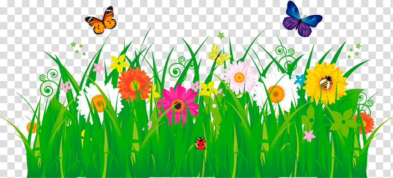 Green Grass, Drawing, Butterfly, Meadow, Wildflower, Plant, Insect, Spring transparent background PNG clipart