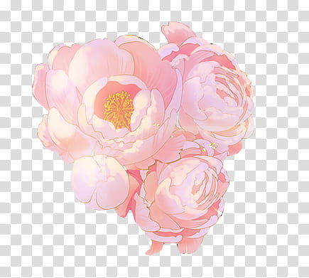 pink flowers art transparent background PNG clipart