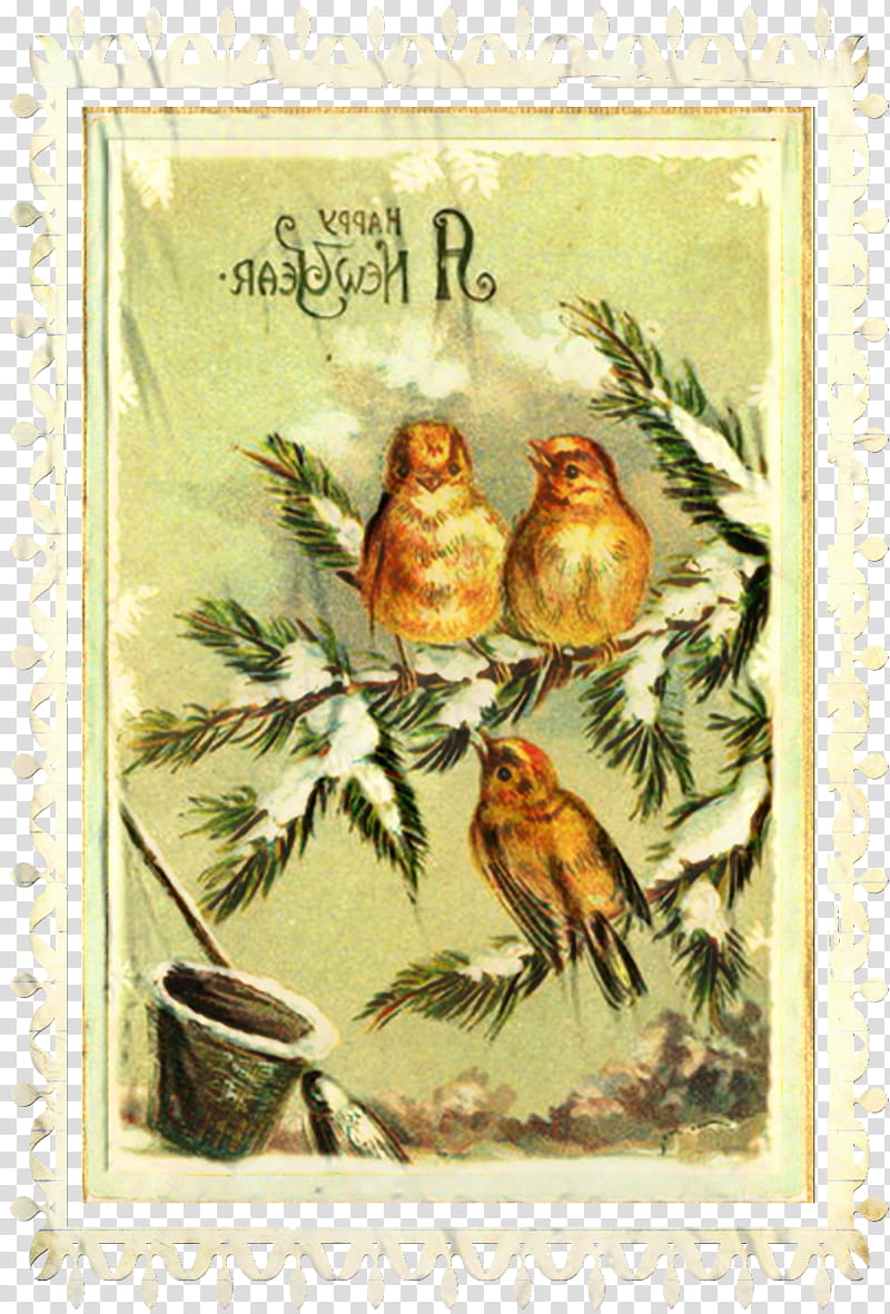 Postage Stamp, Finches, Frames, Beak, Creativity, Bird, Songbird, Perching Bird transparent background PNG clipart