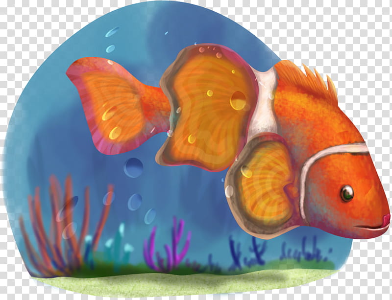 Coral Reef, Fish, Clownfish, Angelfish, Coral Reef Fish, Email, Parrotfish, Aquarium Decor transparent background PNG clipart