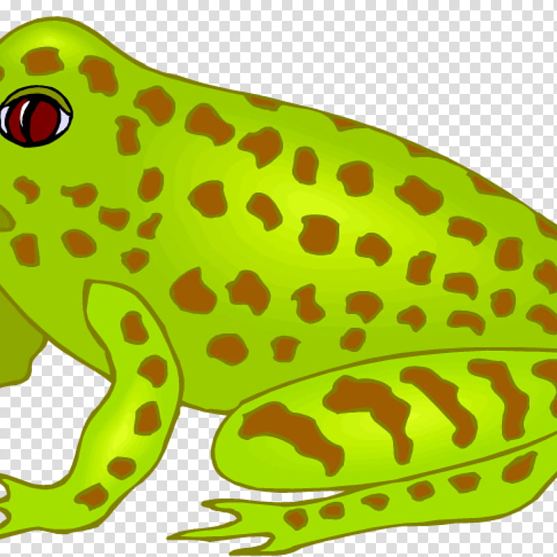 Frog, Amphibians, True Frog, Tree Frog, Southern Brown Tree Frog, Glass Frogs, Columbia Spotted Frog, Australian Green Tree Frog transparent background PNG clipart
