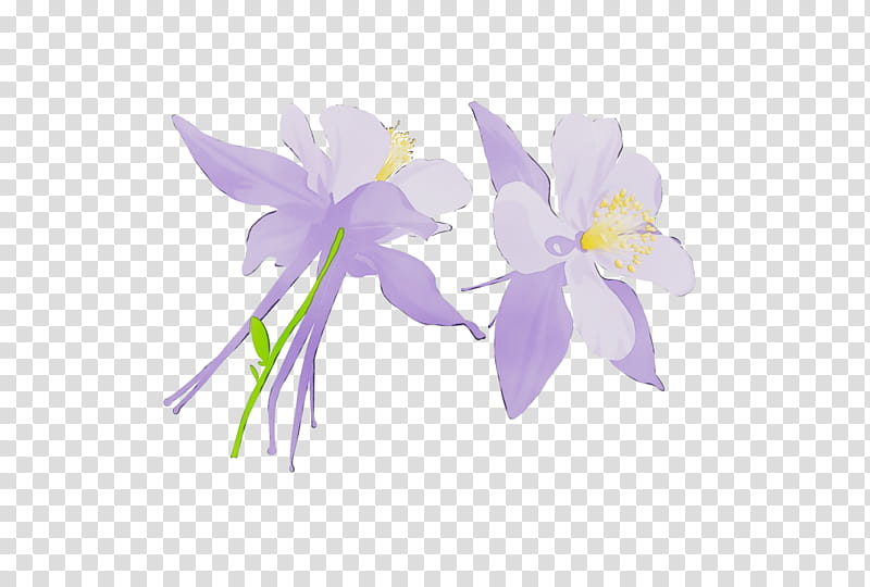Blue Iris Flower, Columbine, Drawing, Columbine High School Massacre, Serial Killer, Cartoon, Watercolor Painting, Logo transparent background PNG clipart