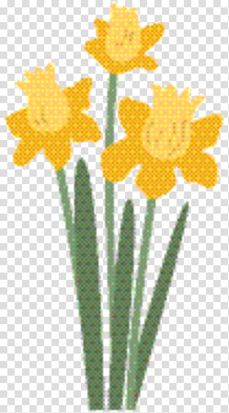 Flowers, Plant Stem, Yellow, Leaf, Flowerpot, Sunflower, Plants, Narcissus transparent background PNG clipart