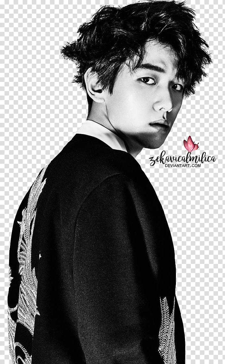 EXO Baekhyun W Korea transparent background PNG clipart