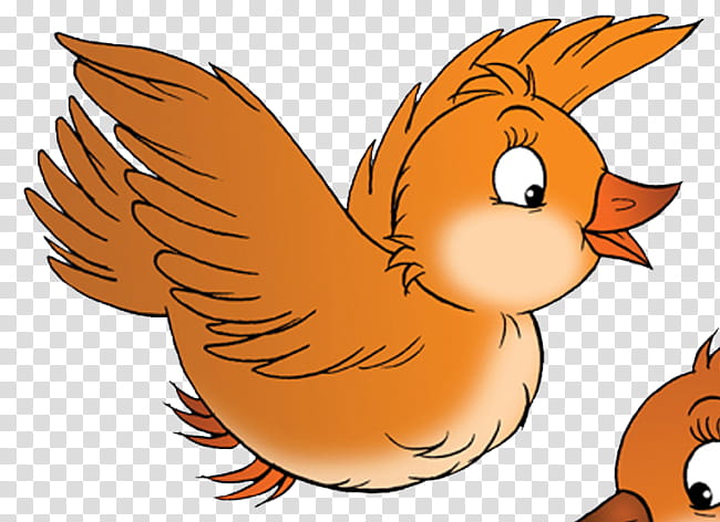how to draw cartoon bird flying
