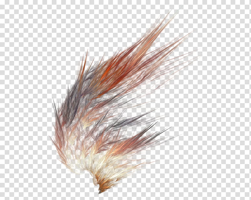Abstract Wing, brown and gray fur illustration transparent background PNG clipart