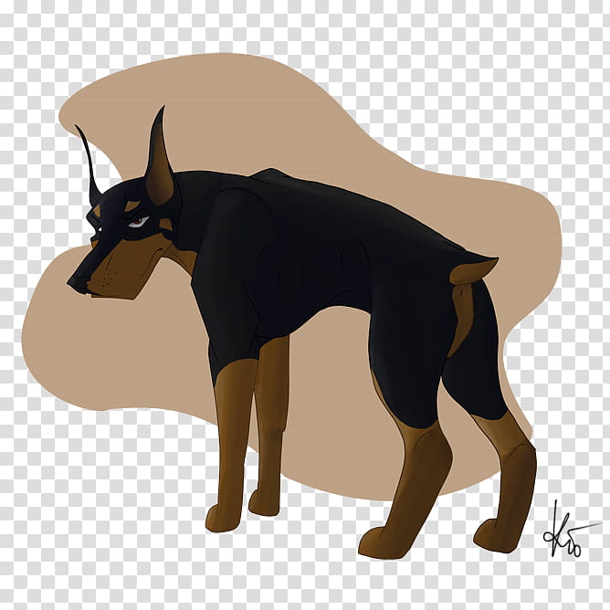 Cartoon Dog, Dobermann, Miniature Pinscher, Manchester Terrier, Puppy, Artist, Doberman Gang, Guard Dog transparent background PNG clipart