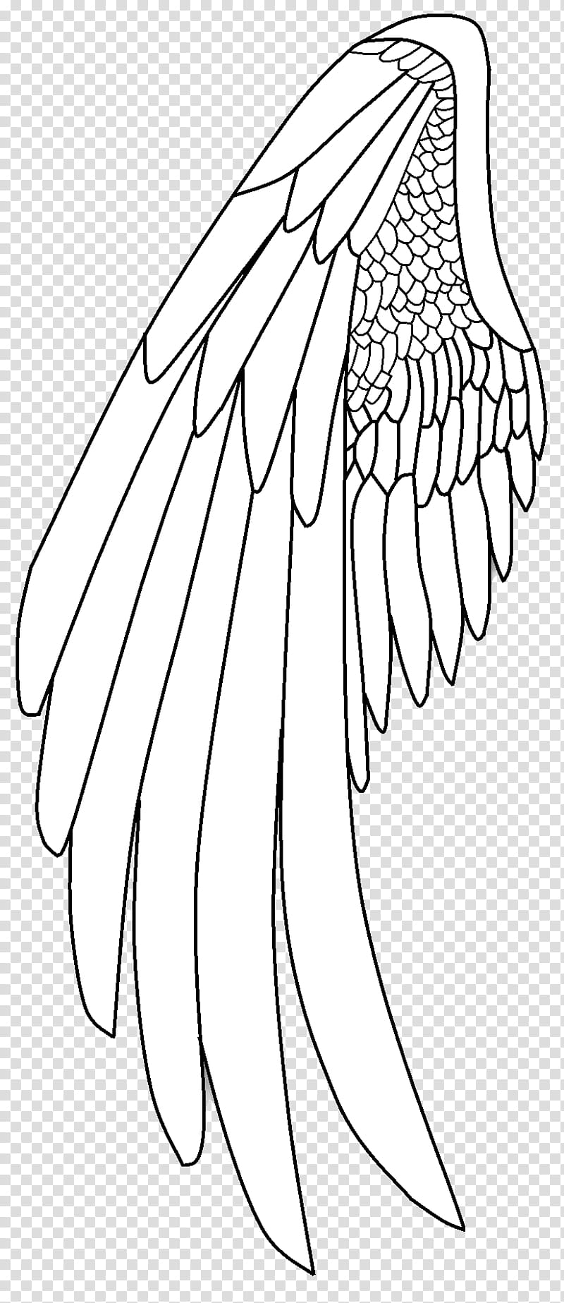 Black And White Flower, Drawing, Line Art, Painting, Angel, Finger, Tattoo, Character transparent background PNG clipart