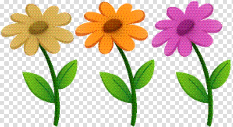 Marigold Flower, Oxeye Daisy, Herbaceous Plant, Petal, Plant Stem, Plants, English Marigold, Pedicel transparent background PNG clipart