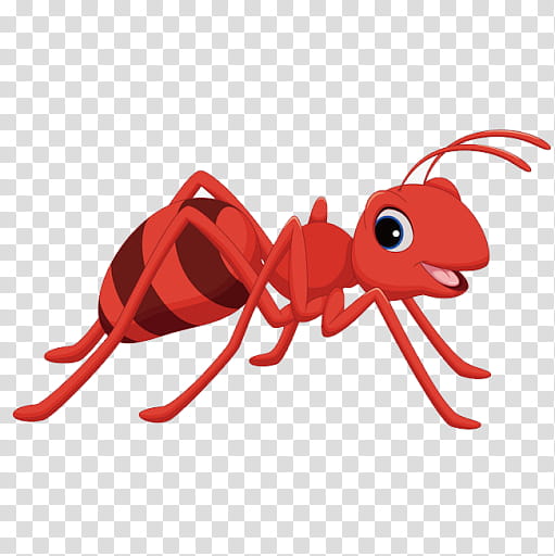 insect ant pest red animal figure, Membranewinged Insect transparent background PNG clipart