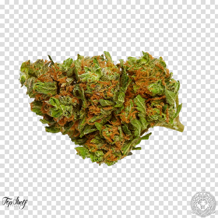 Cannabis Leaf, Cannabis Sativa, Kush, Seed, Cannabidiol, Seed Bank, Plant, Food transparent background PNG clipart