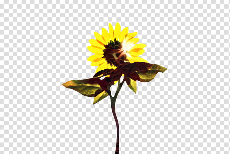 Cartoon Bee, Sunflower, Flora, Bloom, Common Sunflower, Cut Flowers, Plant Stem, Honey Bee transparent background PNG clipart