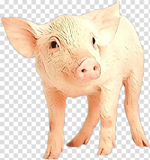 suidae animal figure snout boar live, Live, Pigs Ear, Fawn transparent background PNG clipart