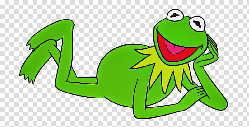 green frog hyla agalychnis gray treefrog, True Frog, Tree Frog, Shrub Frog transparent background PNG clipart