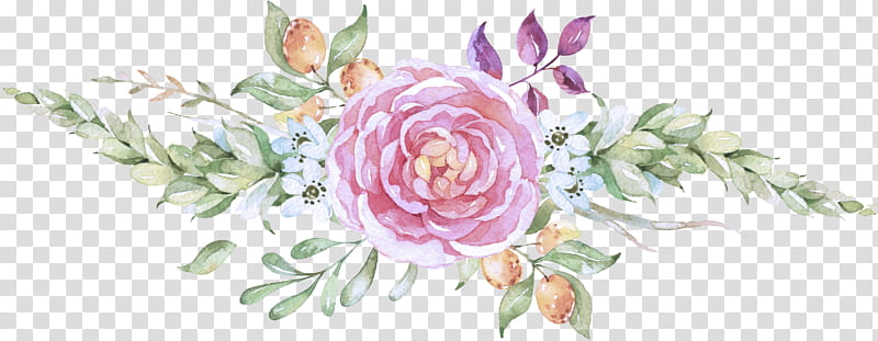 Garden roses, Flower, Pink, Plant, Rose Family, Cut Flowers, Petal, Rose Order transparent background PNG clipart