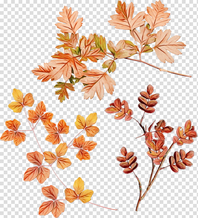 Watercolor Wreath Flower, Paint, Wet Ink, Twig, Leaf, Branch, Autumn, Petal transparent background PNG clipart