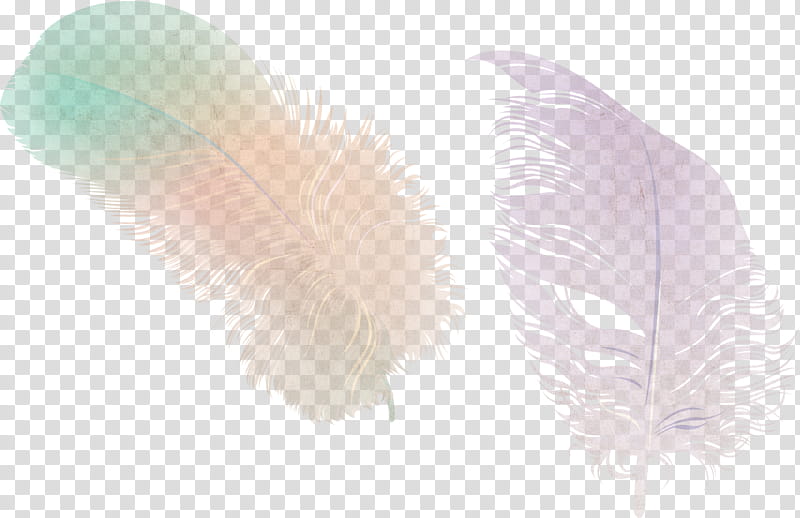 Library, Feather, Pen, Plumas De Colores, Python Imaging Library, Quill, Wing, Pink transparent background PNG clipart