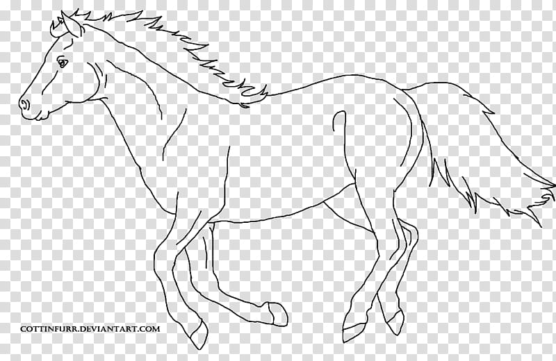 FREE Line Art Horse, white and black horse illustration transparent background PNG clipart