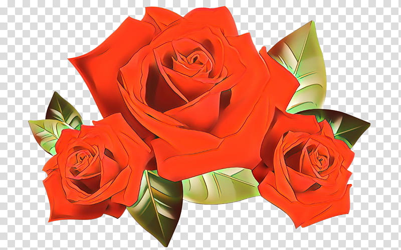 Rose Love Flowers, Morning, Good, Wish, Damask Rose, Happiness, Girlfriend, Affection transparent background PNG clipart