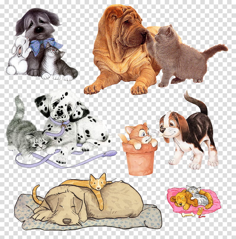 Dog And Cat, Puppy, Bulldog, Animal, Companion Dog, Cuteness, Drawing, Pet transparent background PNG clipart