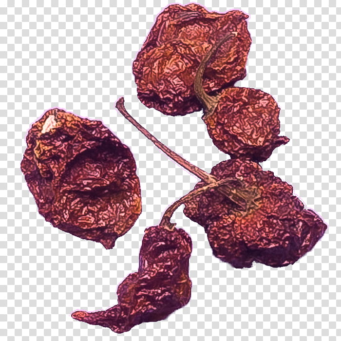 Web Design, Carolina Reaper, Chili Pepper, Hot Sauce, South Carolina, Peppers, Plant, Food transparent background PNG clipart