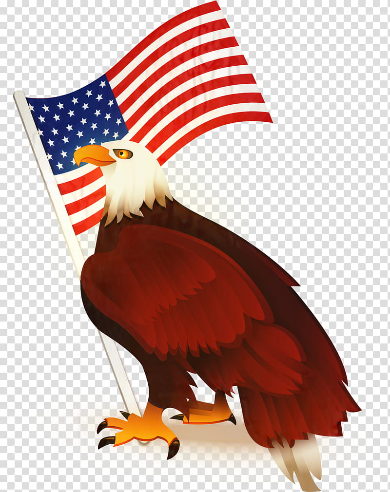 Bald eagle Flag of the United States Decal, eagle transparent background  PNG clipart