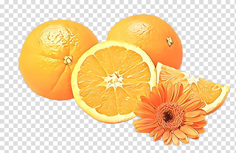 Orange, Citrus, Fruit, Valencia Orange, Mandarin Orange, Tangerine, Grapefruit, Bitter Orange transparent background PNG clipart