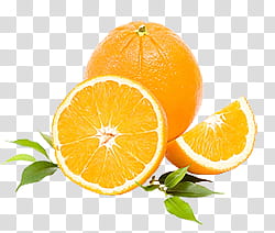 fruit, orange fruits transparent background PNG clipart