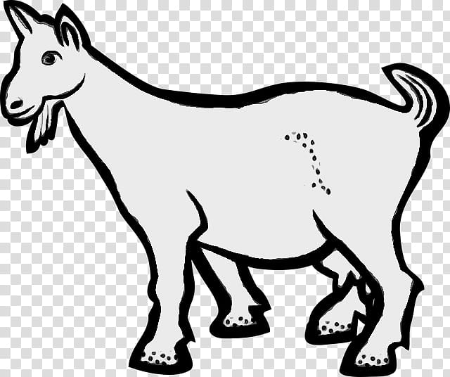 Eid Al Adha Islamic, Eid Mubarak, Muslim, Boer Goat, Russian White Goat, Sheep, Silhouette, Goat Farming transparent background PNG clipart