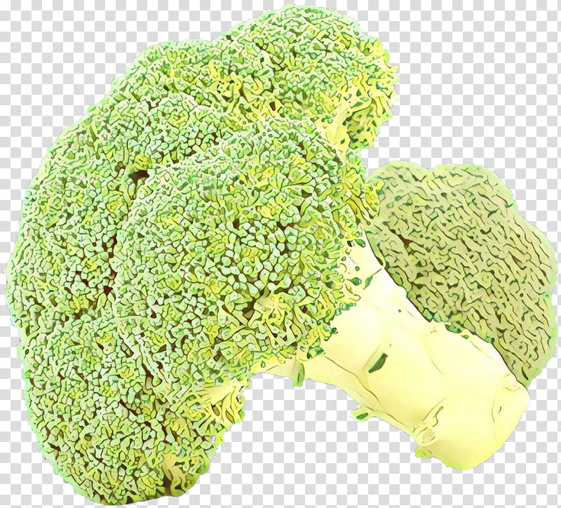 broccoli leaf vegetable food wild cabbage plant transparent background PNG clipart