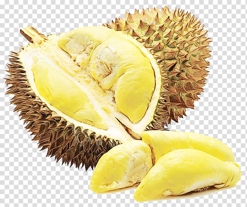 Juice, Durian Pancake, Durio Zibethinus, Clausena Lansium, Dried Fruit, Thai Cuisine, Tropical Fruit, Jackfruit transparent background PNG clipart