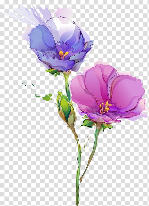 49+ Transparent Background Watercolor Flower Png Background