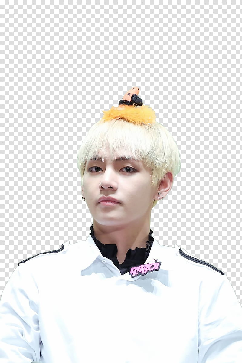 V TAEHYUNG BTS transparent background PNG clipart | HiClipart