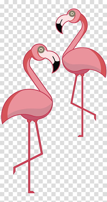 Pink Flamingo, Line, Beak, Neck, Pink M, Bird, Red, Water Bird transparent background PNG clipart