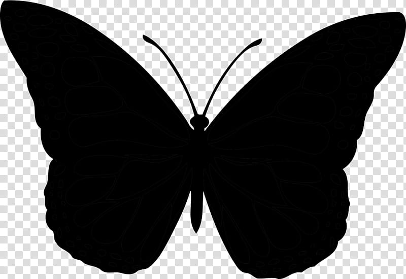 Butterfly Stencil, Brushfooted Butterflies, Insect, Monarch Butterfly, Lepidoptera, Moths And Butterflies, Black, Wing transparent background PNG clipart