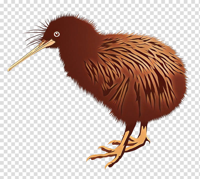 Kiwi Bird, New Zealand, Common Ostrich, Silhouette, Kiwifruit, Flightless Bird, Beak, Cranelike Bird transparent background PNG clipart