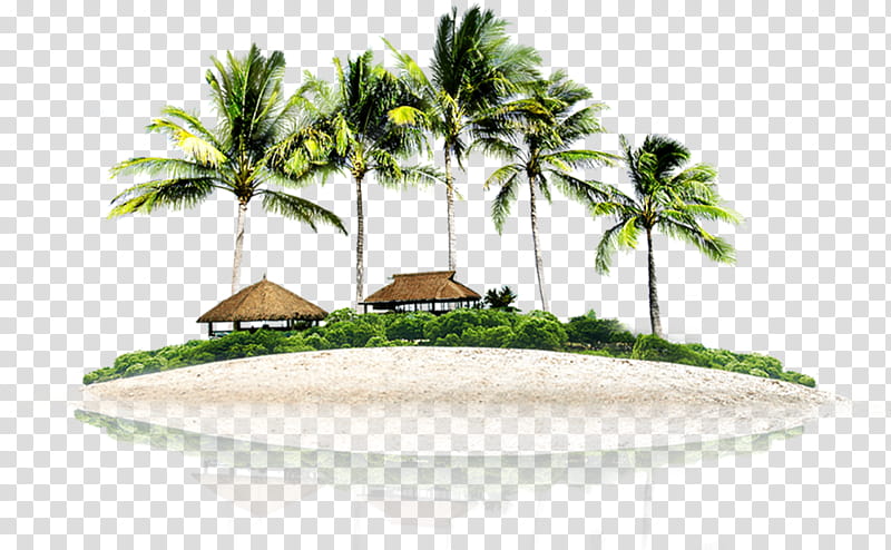 Coconut Tree, Resort Island, Beach, Seaside Resort, Palm Islands, Vegetation, Palm Tree, Arecales transparent background PNG clipart
