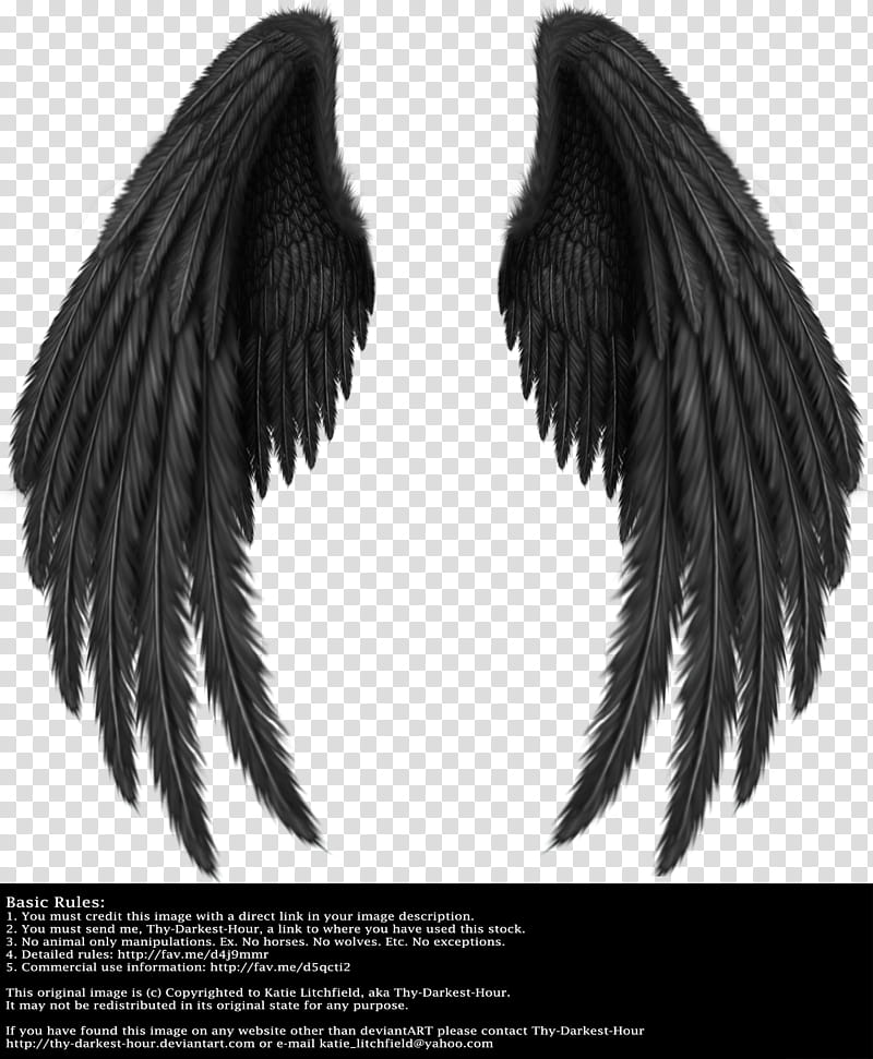 Winged Fantasy V Black, black wings illustration transparent background ...
