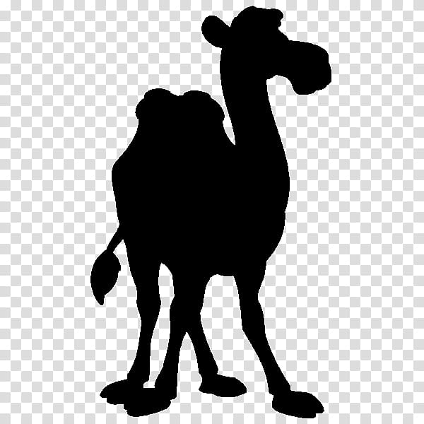 Animal, Dromedary, Bactrian Camel, Silhouette, Black, Camelid, Arabian Camel, Animal Figure transparent background PNG clipart