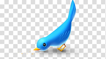 Twitter , blue bird illustration transparent background PNG clipart