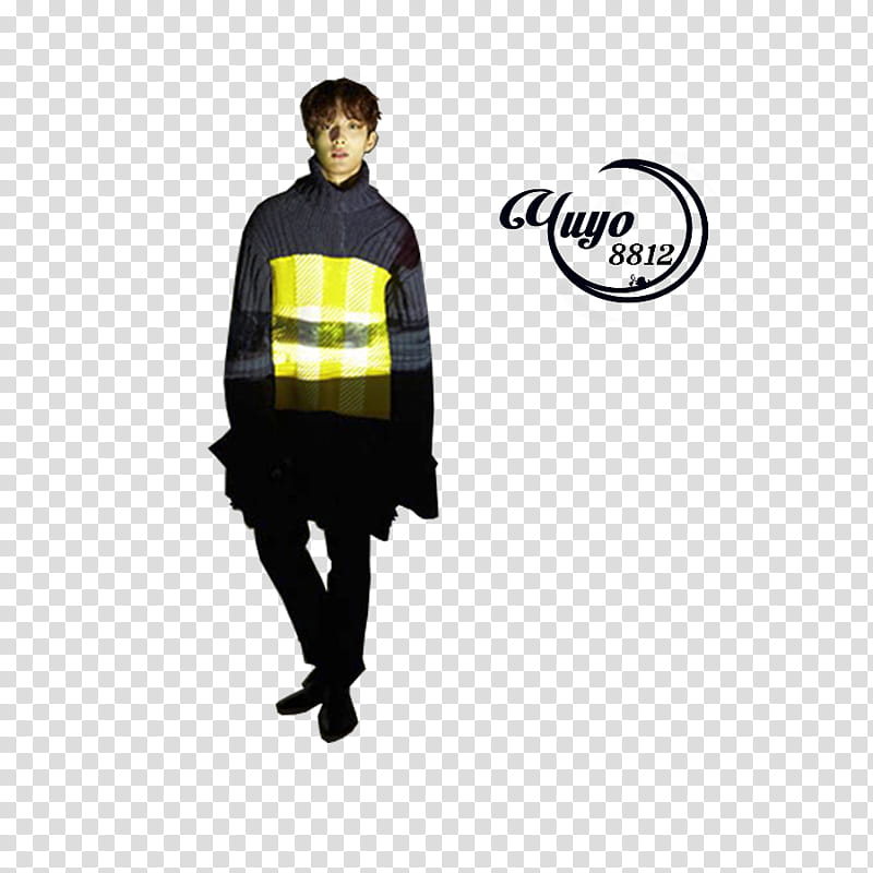 SEVENTEEN DIRECTORs CUT transparent background PNG clipart