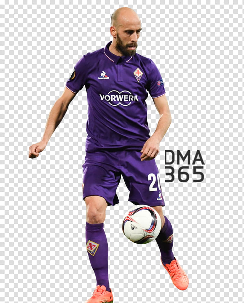 Borja Valero transparent background PNG clipart