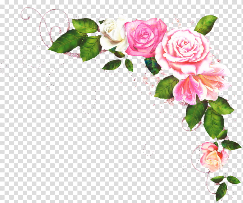 Pink Flowers, BORDERS AND FRAMES, Floral Design, Rose, Frames, Cut Flowers, Flower Bouquet, Rose Frames transparent background PNG clipart