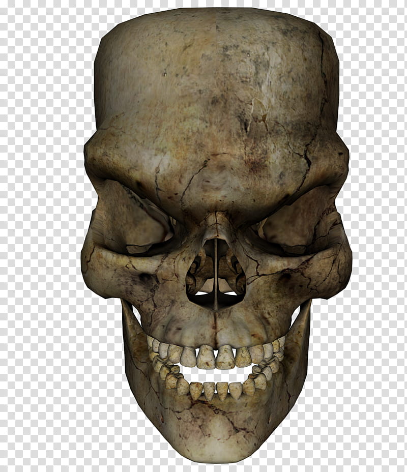 Skull Frankenstein, brown skull illustration transparent background PNG clipart