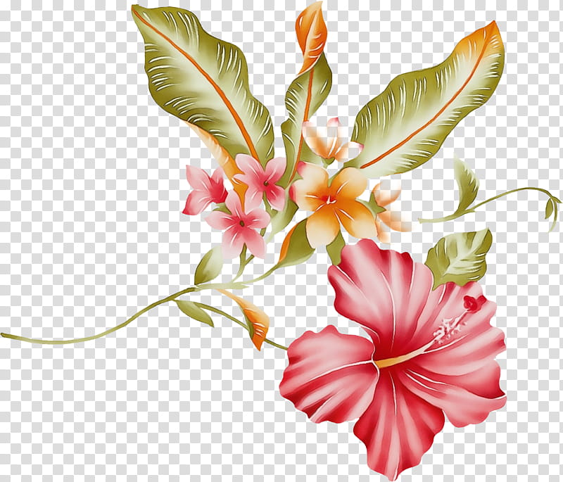 Flowers, Floral Design, Petal, Cut Flowers, Painting, Rosemallows, Gouache, Floristry transparent background PNG clipart