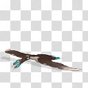Spore creature Anhanguera flying transparent background PNG clipart