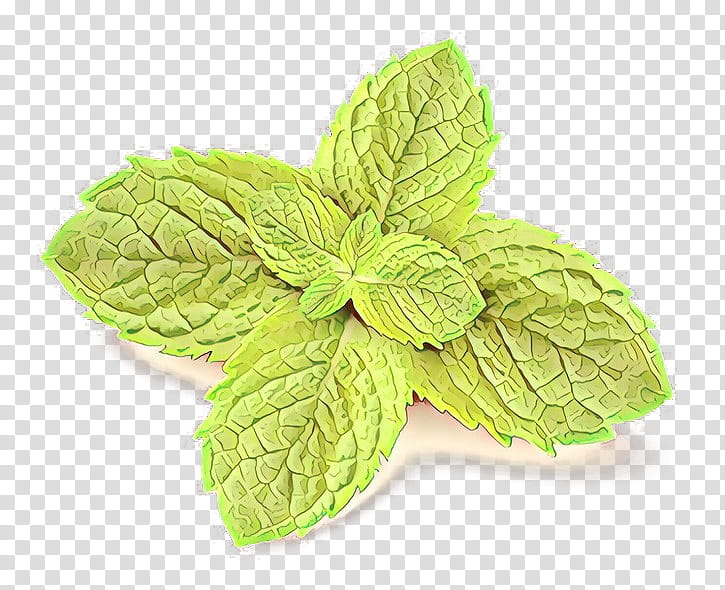 leaf mint plant herb flower, Cartoon, Spearmint, Peppermint, Apple Mint, Flowering Plant, Basil transparent background PNG clipart