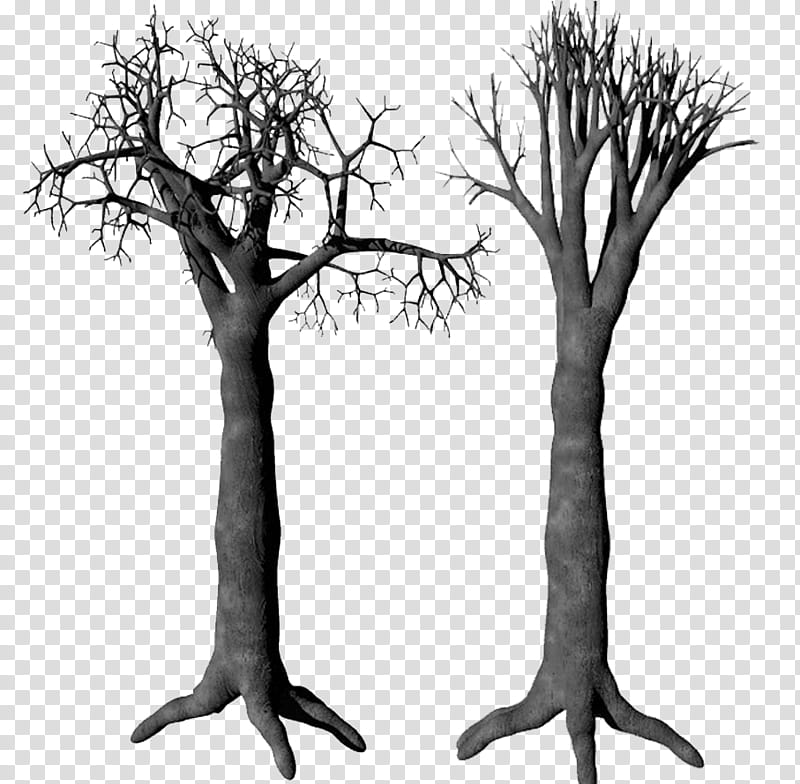 tree, bare tree collage transparent background PNG clipart