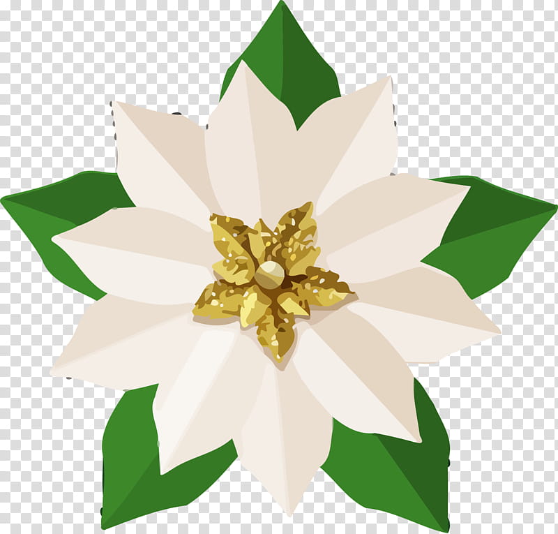 Christmas Ornament Merry Christmas Christmas Decoration, Flower, Petal, Plant, Poinsettia, Edelweiss, Wildflower transparent background PNG clipart